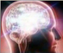 :brain_shining: